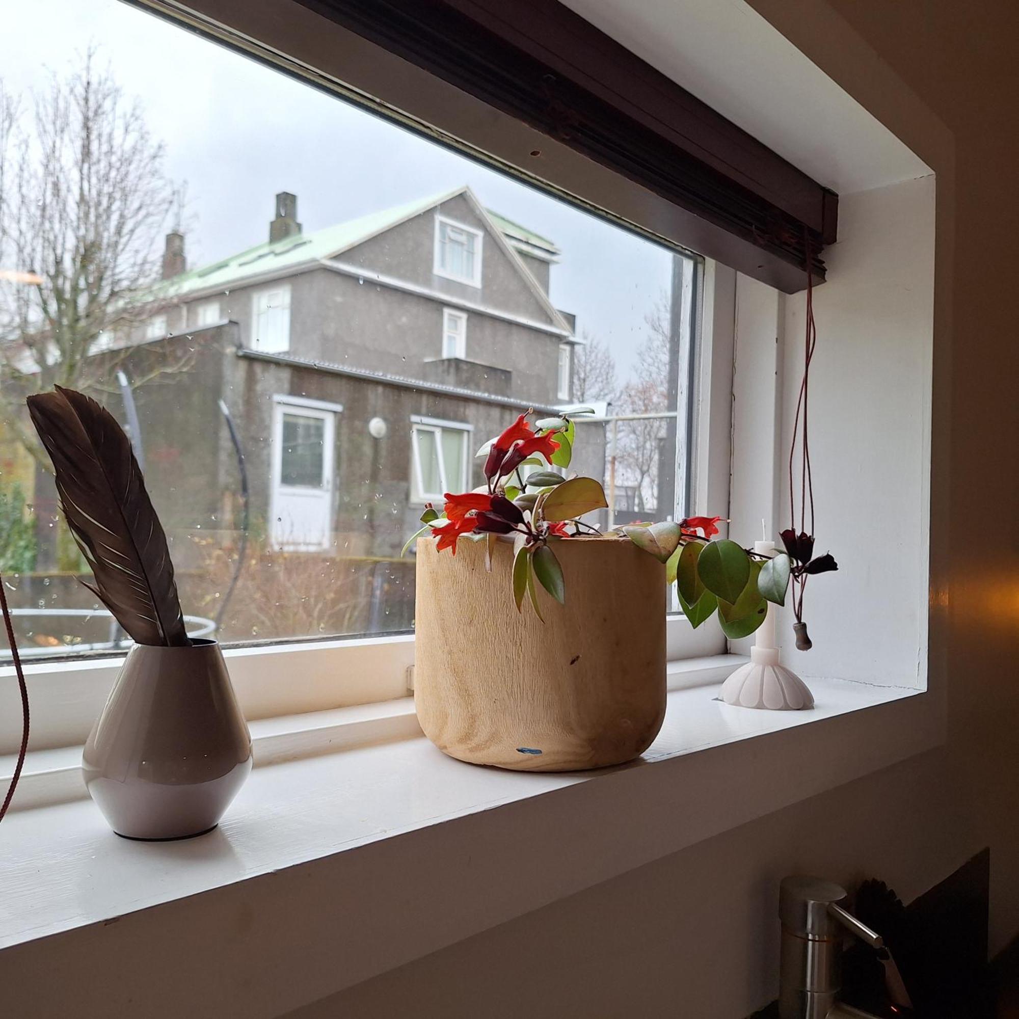 Central Reykjavik - Garden Cottage エクステリア 写真
